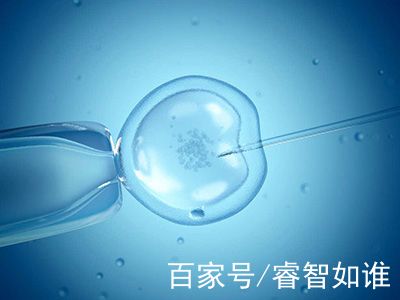 包生男孩助孕机构代生供卵医院